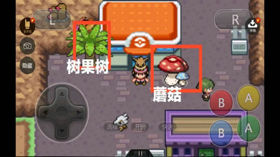 口袋妖怪去吧布衣