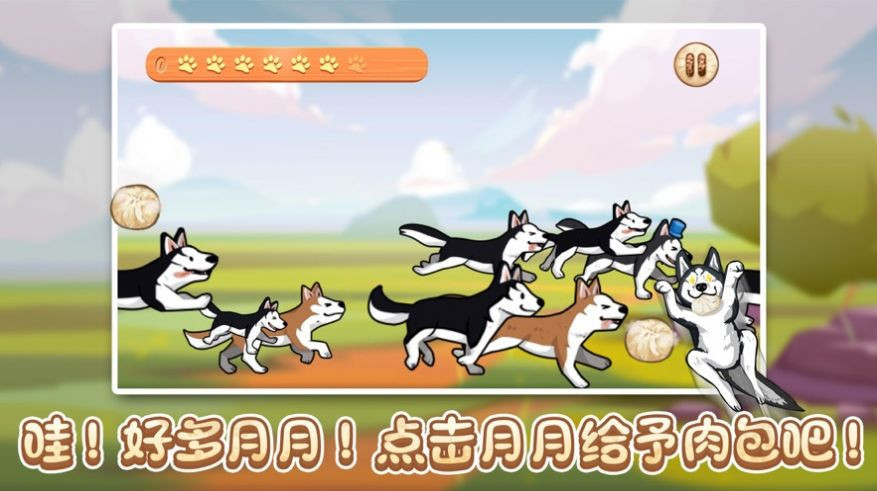 了布启吃肉包截图1