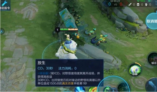 王者荣耀阿古朵怎么玩出装攻略