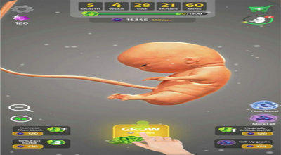 怀孕宝宝模拟器