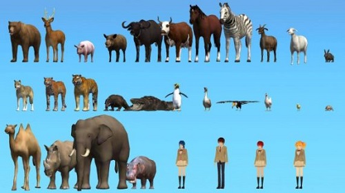 樱花动物模拟器截图1