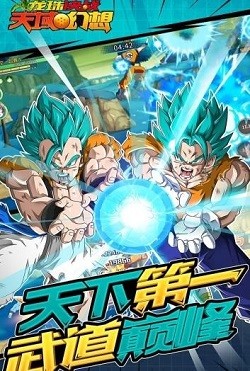 龙珠决战天域幻想截图1