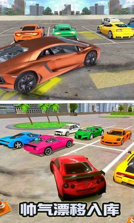 停车大师3D2截图1