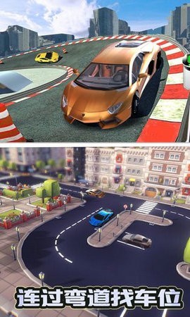 停车大师3D2截图2