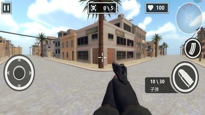 挺进决赛圈截图1