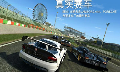 真实赛车3截图1