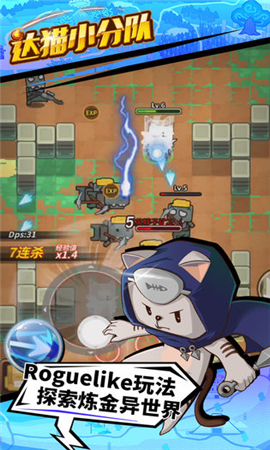 达猫小分队