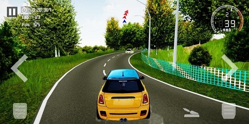 最终拉力赛截图3