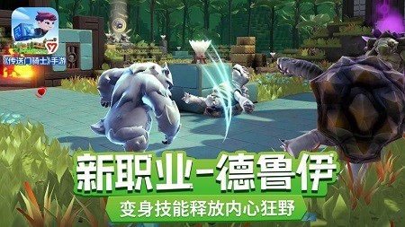 传送门骑士德鲁伊截图3