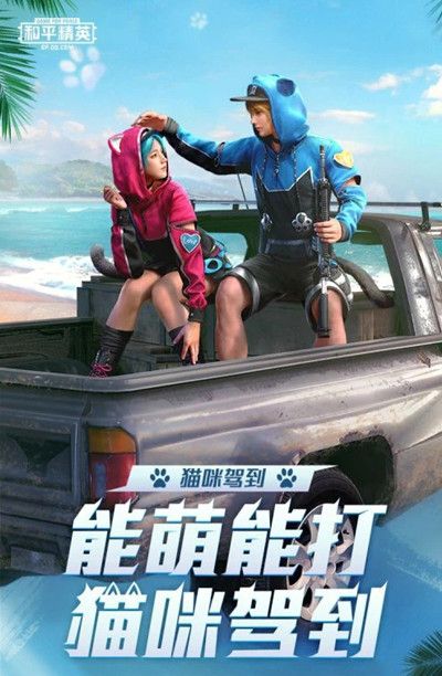 和平精英神秘黑猫什么时候出