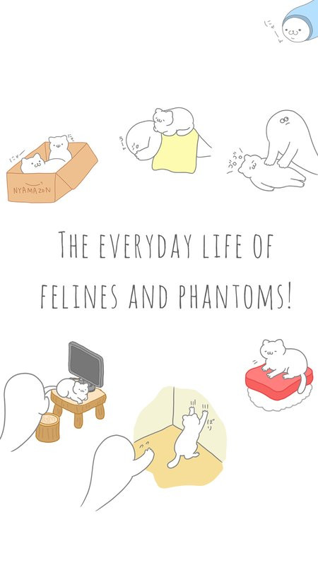 我的猫咪很可爱