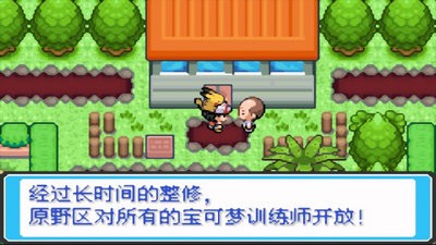 口袋妖怪去吧伊布汉化版截图3