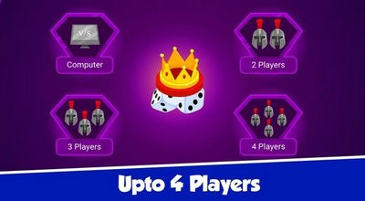 鲁多疯狂冒险截图1