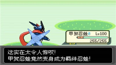 口袋妖怪绿宝石890 2.1截图3