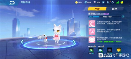 2020QQ飞车手游波斯猫怎么样