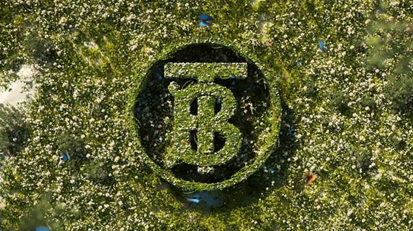 王者荣耀Burberry联名皮肤是什么