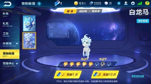 QQ飞车手游宠物秘境一般多少钱出一只宠物