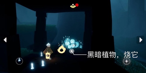 光遇11.28任务攻略