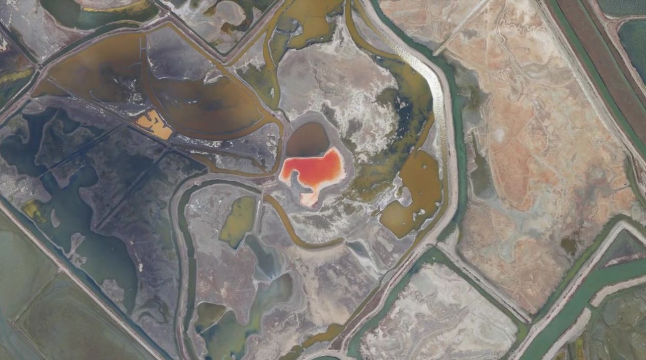 微软飞行模拟2021