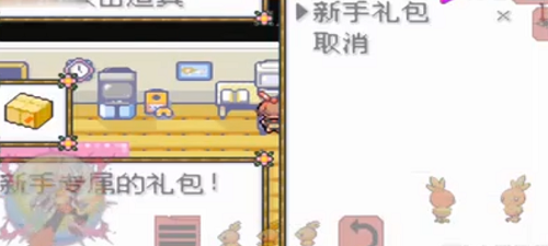 口袋妖怪刽曜之影新手礼包在哪用