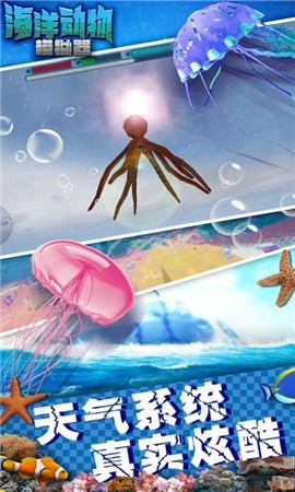 海洋动物模拟器截图3