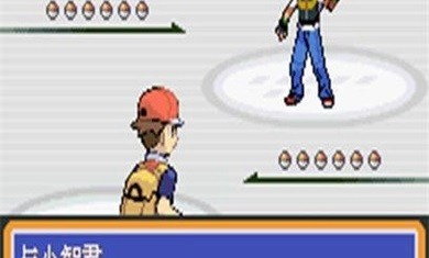 口袋妖怪永恒之焱截图3