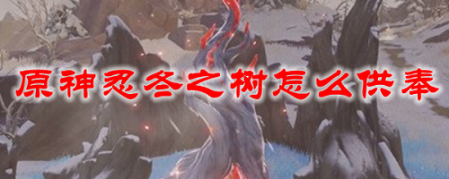 原神忍冬之树怎么供奉？