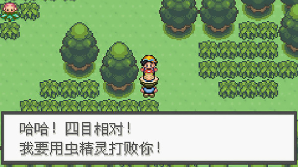 口袋妖怪极光石