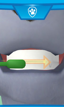 狗狗巡逻队冒险湾