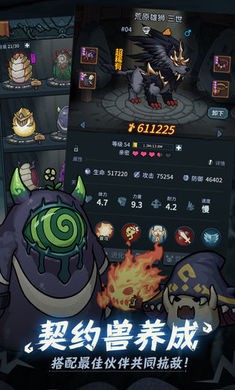 提灯与地下城先锋服截图3