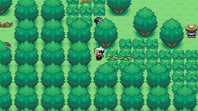 口袋妖怪刽曜之影2022截图3