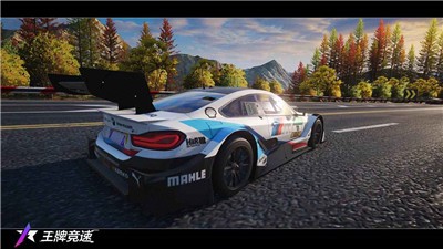 王牌竞速拉力赛模式截图3