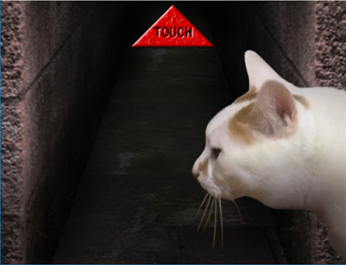 翌日猫的一天奇谈怪论截图1