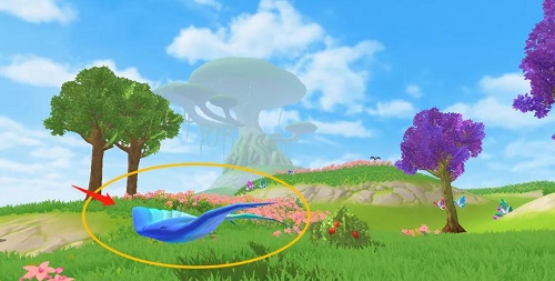 创造与魔法天空鳐位置图刷新时间