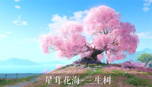 天谕手游三生树下诺在哪