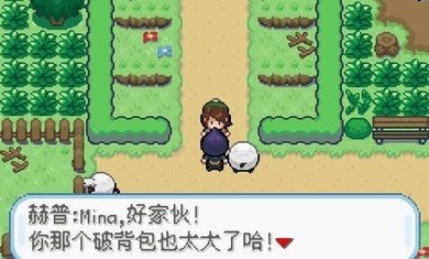 口袋妖怪剑盾完结版