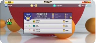 虚拟乒乓球随机球拍截图1