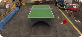 虚拟乒乓球随机球拍截图3