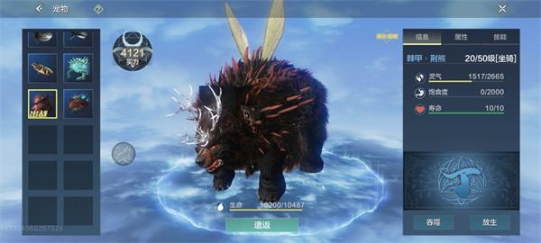 妄想山海荆熊位置攻略