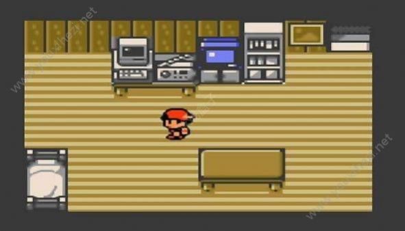 口袋妖怪心金截图2