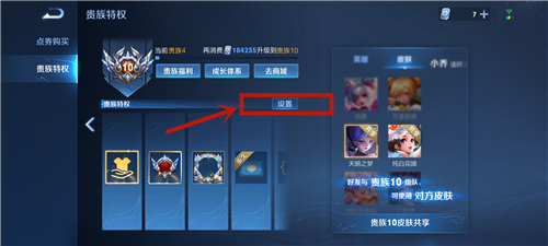 王者荣耀V10共享皮肤怎么关闭