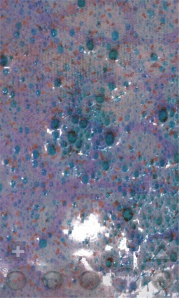 2021炫彩软泥模拟器截图3