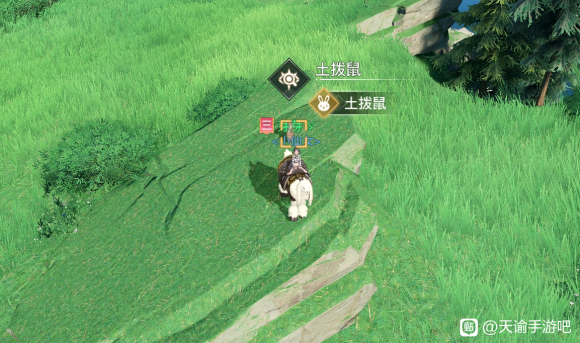 天谕手游土拨鼠之日任务攻略