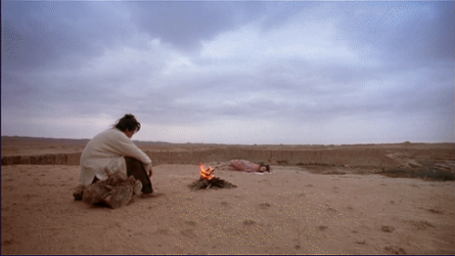 王者荣耀白晶晶台词语音是什么