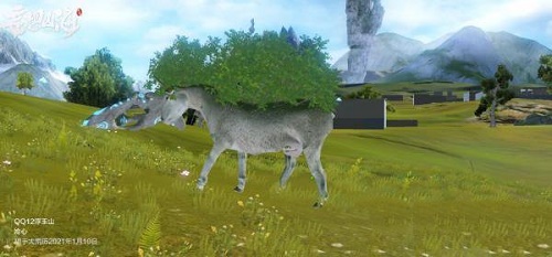 妄想山海羶根在哪分布