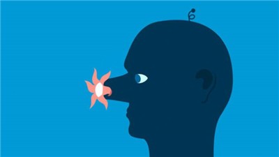 feed the head截图1