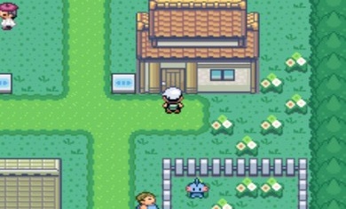 口袋妖怪究极绿宝石II小智版