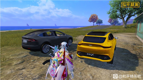 和平精英阿斯顿马丁吉普车皮肤通用吗