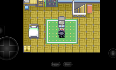 口袋妖怪火红萌娘版mega