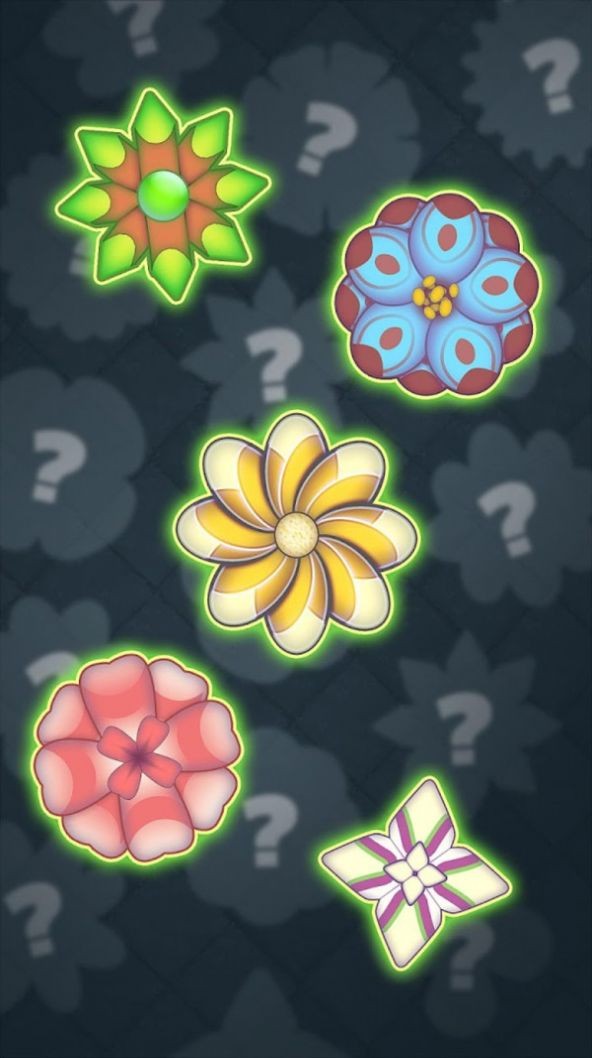 口袋迷宫路径迷团截图1